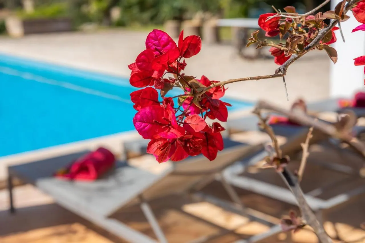 Sa Plana Villa Son Servera